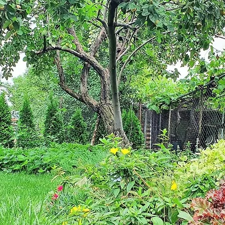 Albisto Dragalevtsi Luxury 公寓