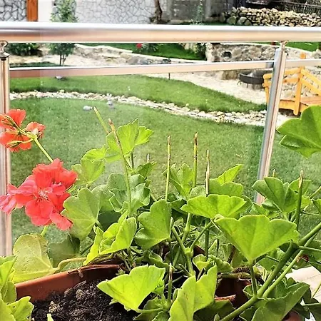 Albisto Dragalevtsi Luxury Sófia