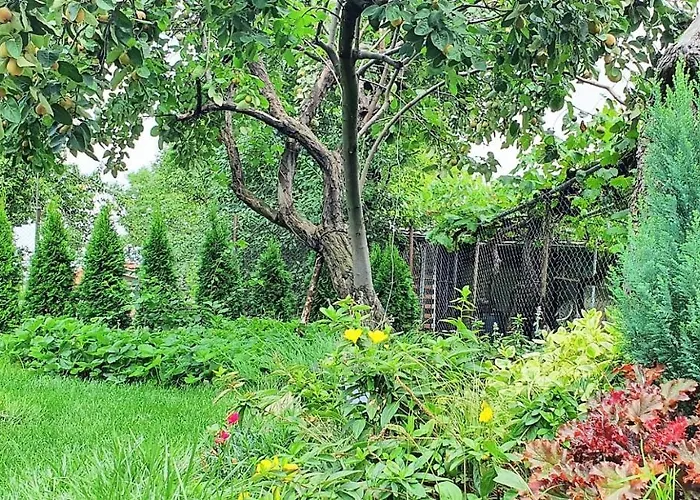 Albisto Dragalevtsi Luxury アパート