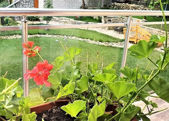 Albisto Dragalevtsi Luxury סופיה